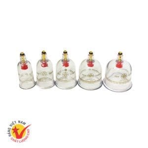 Bộ 5 ly xuất khẩu